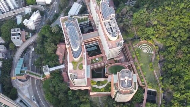 香港大学授予林青霞名誉博士学位