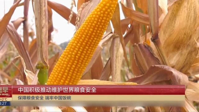 中国积极推动维护世界粮食安全