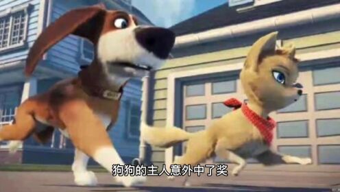 电影《狗狗的疯狂假期》，一次虚假广告，引出一段狗狗大冒险