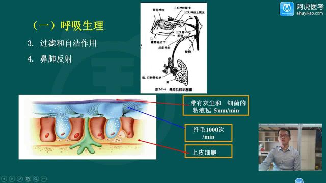 2023最新 中医耳鼻喉主治医师 中医耳鼻咽喉主治 视频课程全部有