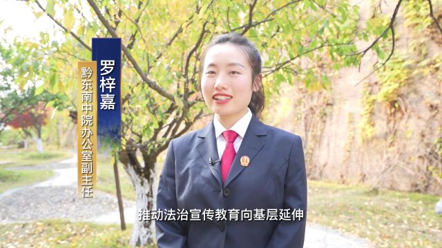 【学习宣传贯彻党的二十大精神】扎实有效开展新时代法治宣传教育