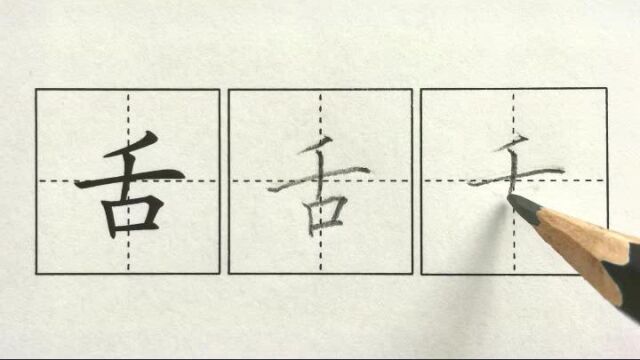 舌,25一下课文17动物王国开大会