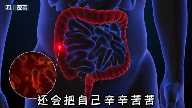 国际素食日丨吃素一定健康?没那么简单