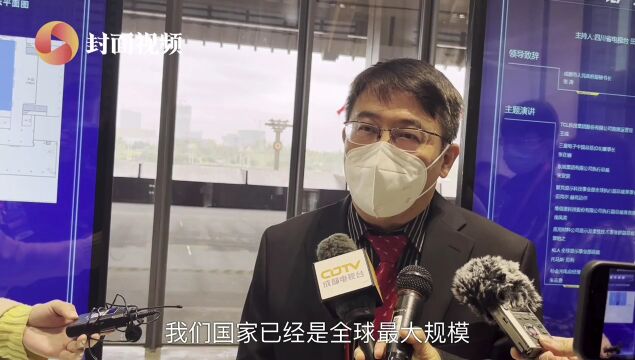 国际信息显示学会中国区总裁严群:成都在显示产业集群中具有很大优势