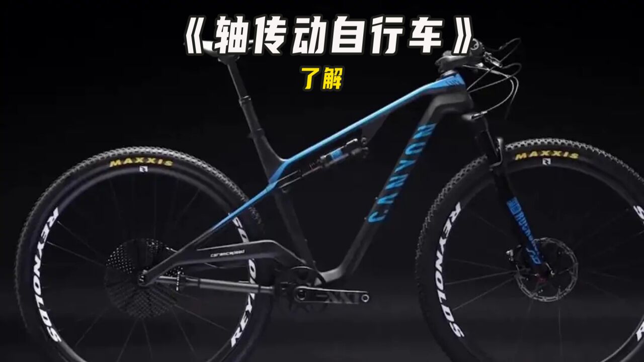 不会掉链子的单车，号称是世界上最省力的自行车！_高清