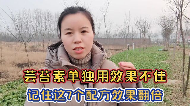 芸苔素如果单独使用,效果会大打折扣,记住这7个配方,效果翻倍