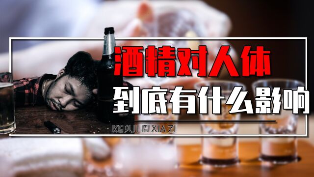 我国5亿人爱喝酒,酒精到底有什么秘密?真相颠覆你的想象