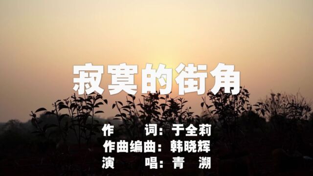 寂寞的街角(女版MV)于全莉词,韩晓辉曲编