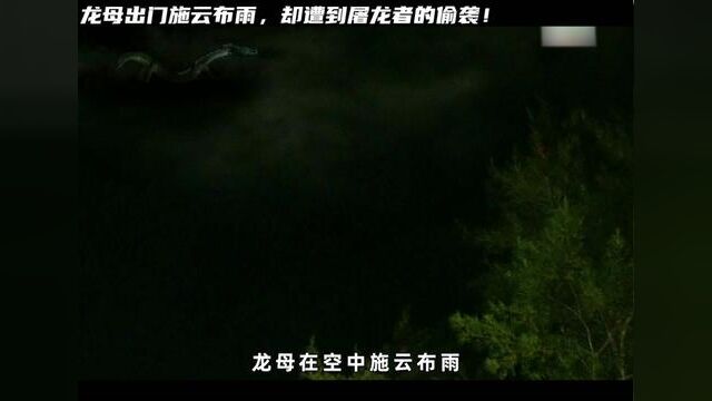 龙母出门施云布雨,却遭到屠龙者的偷袭! #精彩片段 #下集更精彩 #影视解说 #经典