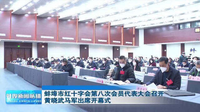 蚌埠市红十字会第八次会员代表大会召开 黄晓武马军出席开幕式