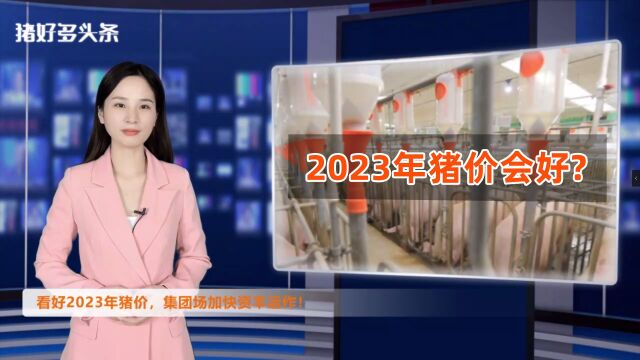 2022年猪价反套路!集团场加快资本运作,2023年猪价会好?