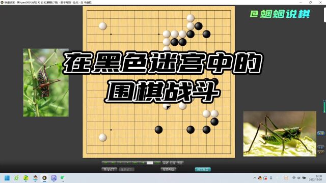 在黑色迷宫中的围棋战斗