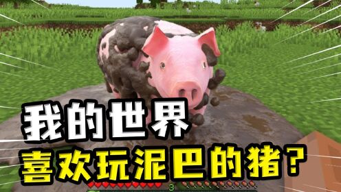 我的世界:喜欢玩泥巴的猪?单纯的泥土不爱玩,得加水猪才能开心_高清1080P在线观看平台_腾讯视频