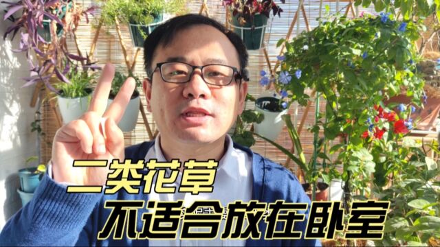 哪些植物不适合摆放在卧室?主要是这2类