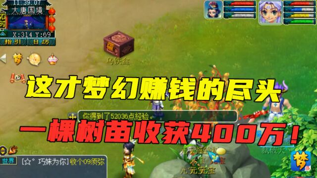 梦幻西游:一棵树苗收获400多万,金刚定魂连来3个,收益太好了!