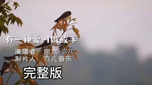 经典歌曲《有一种爱叫做放手》,这首歌是这是阿木初恋的故事