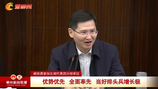 阚保勇参加北湖代表团分组审议优势优先全面率先当好排头兵增长极