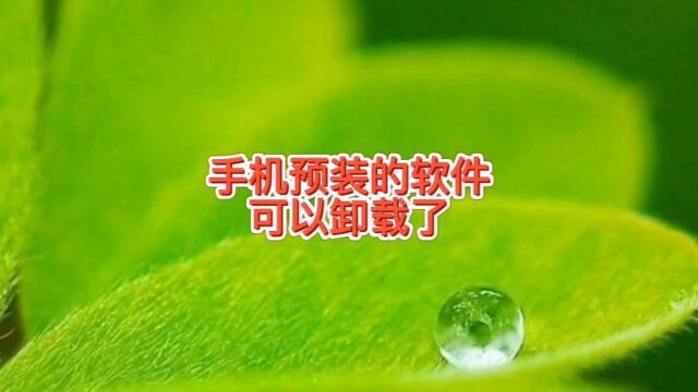 手机预装软件可以卸载了,手机卡顿内存不够为啥预装软件删除不掉