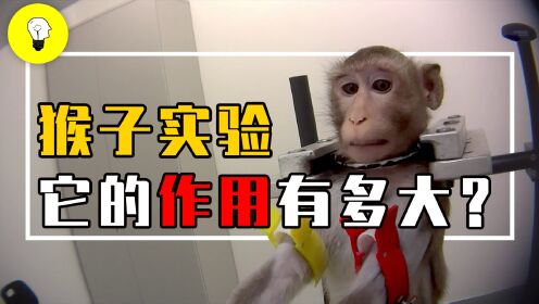 一只实验猴价值十几万，为什么这么贵？猴子实验的作用有多大？