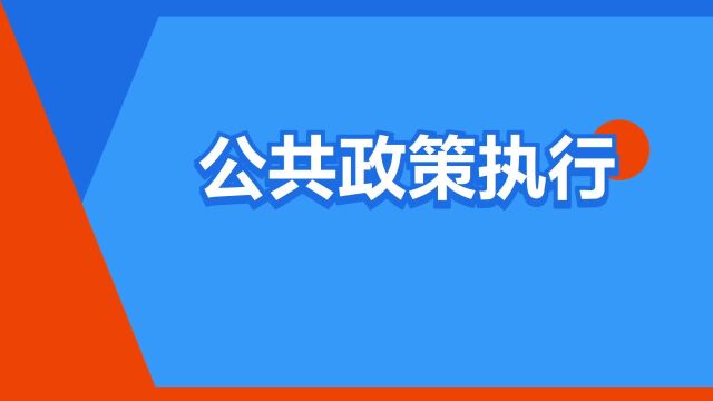 “公共政策执行”是什么意思?