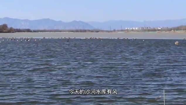 风和日丽的沙河水库