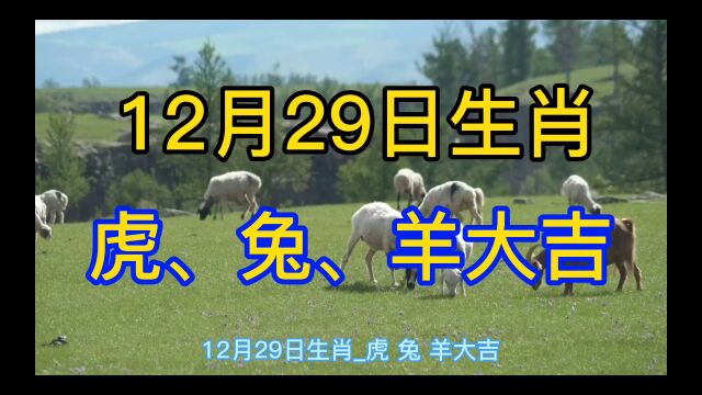 12月29日生肖虎、兔、羊大吉