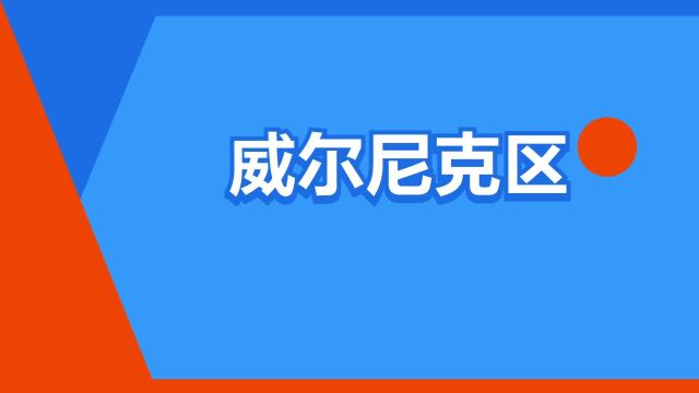 “威尔尼克区”是什么意思?