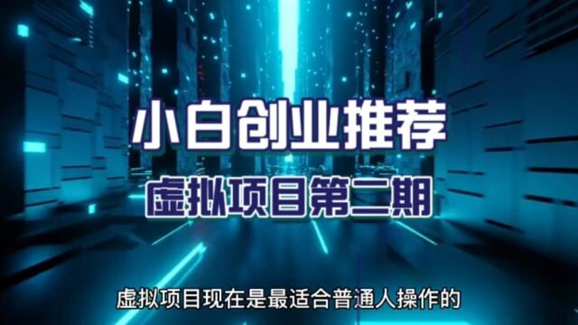 小白创业推荐,虚拟项目第二期