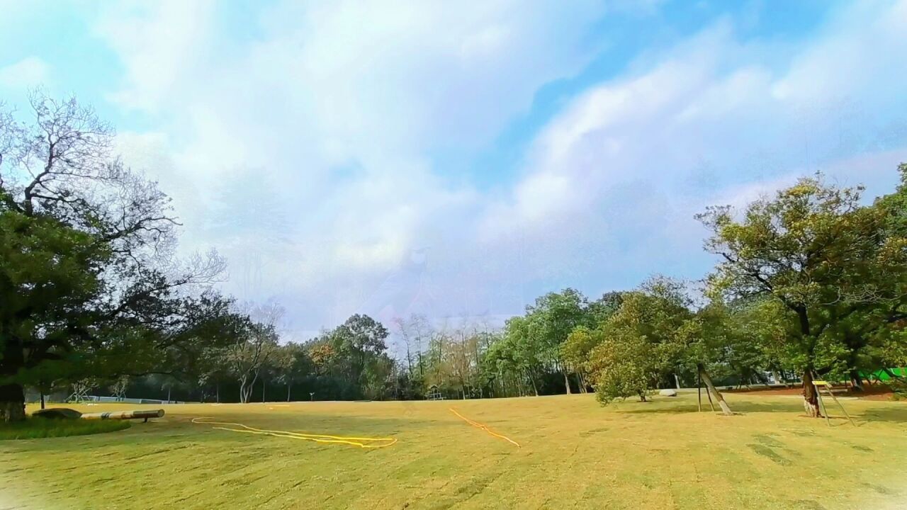 体验融入大自然的快乐 成都市植物园大草坪对外免费开放