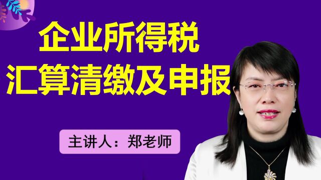 企业所得税年度汇算清缴及33张纳税申报表的填写技巧和方法