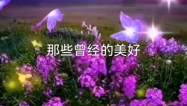 我们之间是不是从未走远过,那些曾经的美好,也只是昙花一现