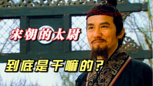 水浒传里,高俅都能当太尉,皇帝怎么想的?他们到底是干嘛的?