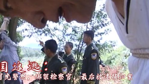 罪犯冒充警察，绑架检察官，最后被逮捕归案，犯罪剧