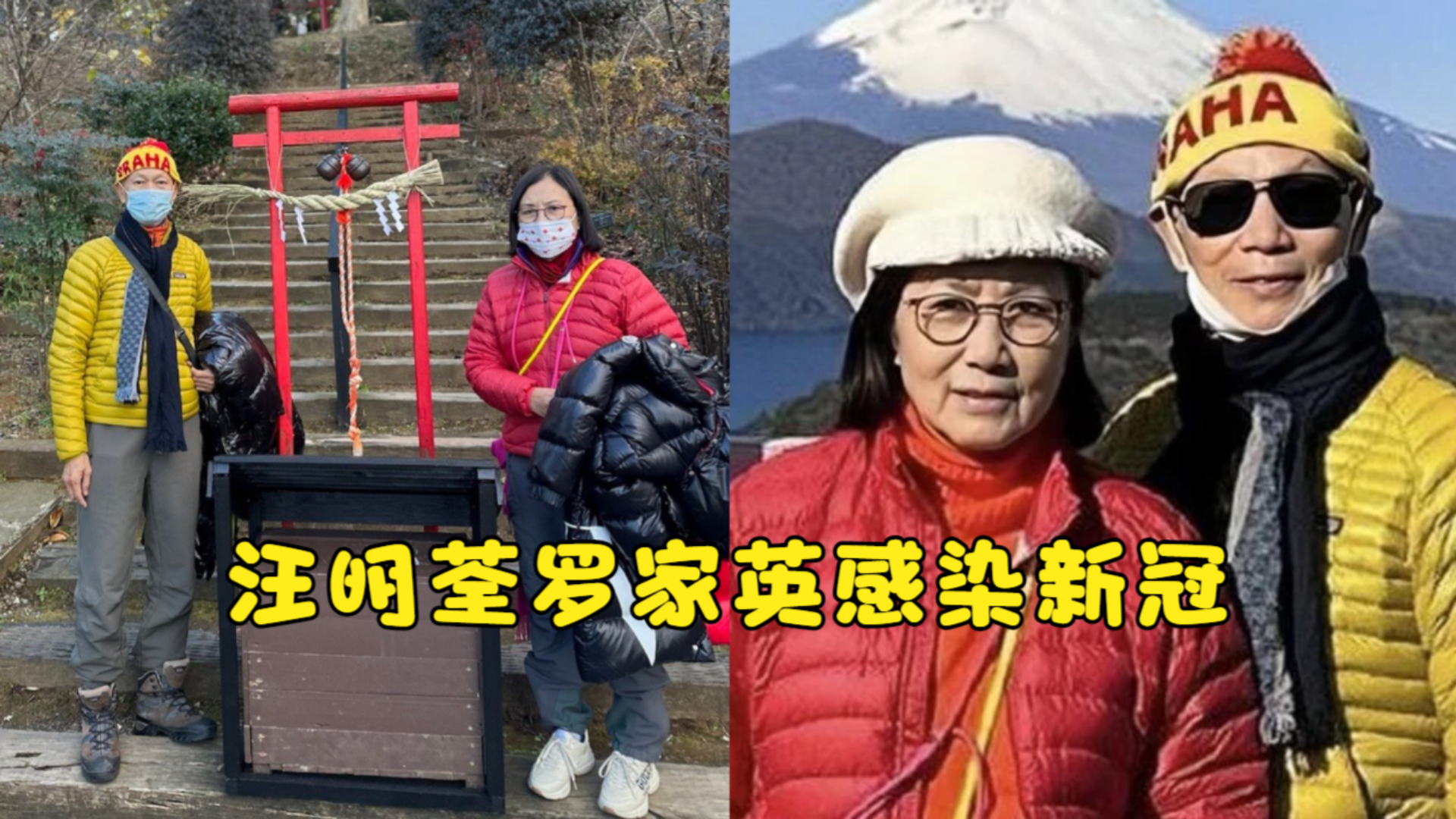 汪明荃罗家英确诊新冠,日本度假好潇洒,疑似在返港飞机上感染