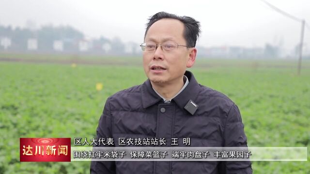 《人大代表风采》王明:以己之长献力量 履职尽责显担当