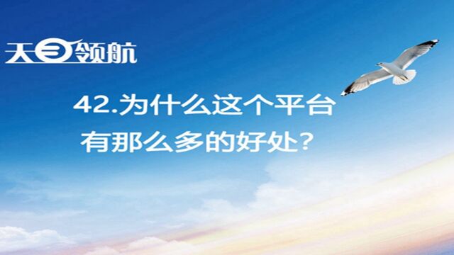 42.为什么这个平台有那么多的好处?