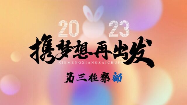 鱼峰检察院第三检察部2022年度总结