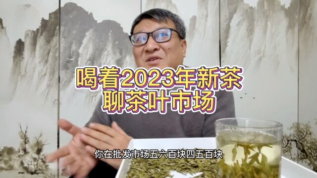 泡着2023年新茶,聊着茶叶消费市场,怼着普洱金融炒作,其乐无穷