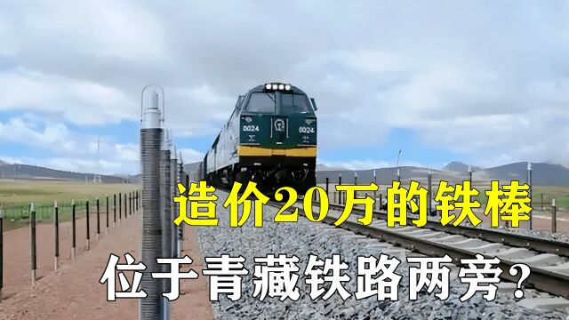 一根铁棒造价20万,1.5万根用于青藏铁路,令美国赞叹