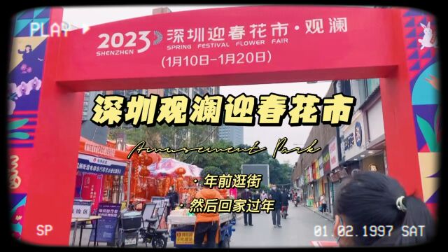 一起看看2023年深圳观澜迎春花市