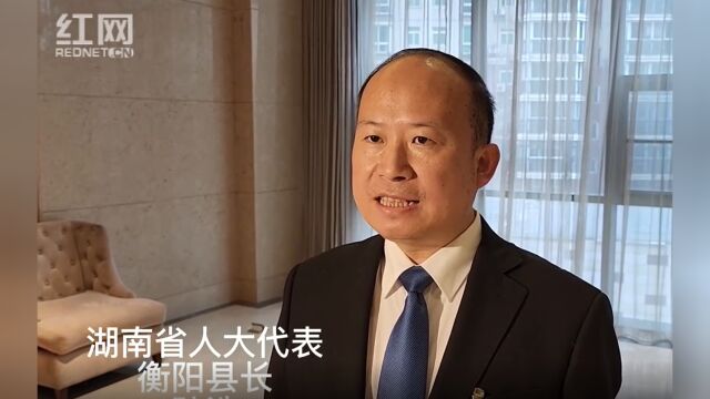 两会访谈丨孙浩:谋划民营经济在衡阳县“蓬勃生长”