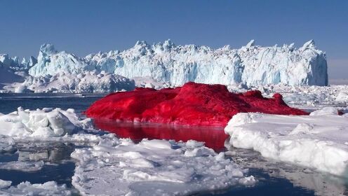 南极洲出现诡异“血雪”，神秘蓝色物种入侵海岸，地球4大反常现象