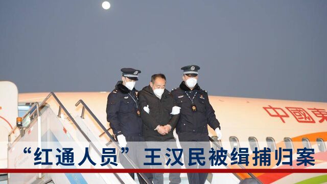 化名潜逃26年!“红通人员”王汉民被缉捕归案