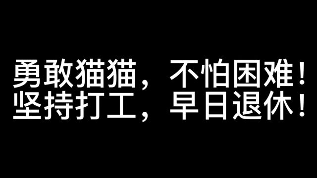 揭秘!百奥司宠打工记