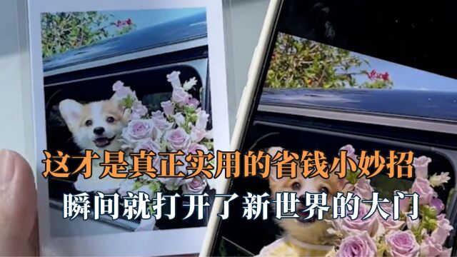 这才是真正实用的省钱妙招,买东西可以换关键字,直接打破信息差