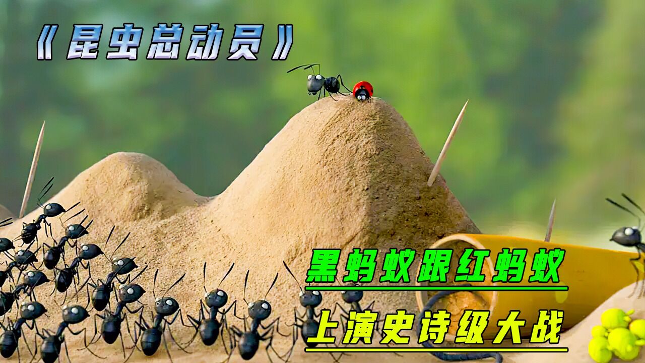 红蚂蚁与黑蚂蚁争夺方糖,上演史无前例的大战《昆虫总动员》中