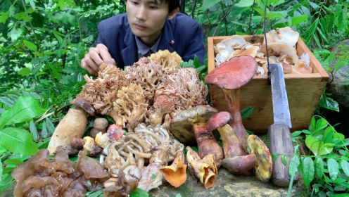 雨后森林采蘑菇：野生的美味、味觉的盛宴
