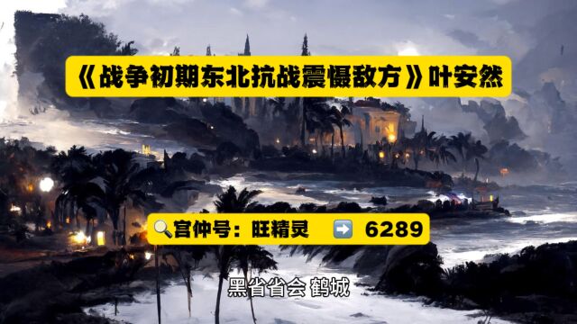 高燃小说《战争初期东北抗战震慑敌方》叶安然◇全文TXT阅读