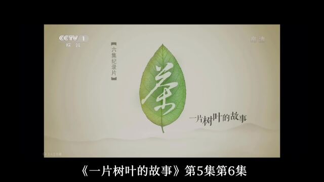 《茶,一片树叶的故事》细节解读0506