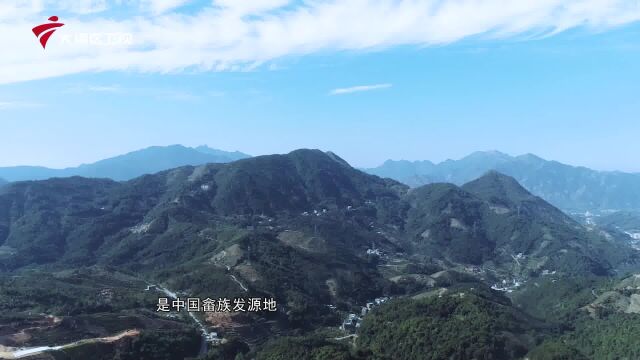 特别报道丨乡村旅游看潮安(二)